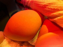 Фото проститутки Карина №2 в городе Владивосток